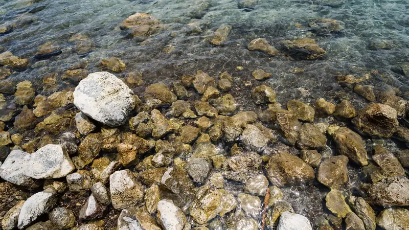 Galets et rochers visibles sous une eau claire et peu profonde