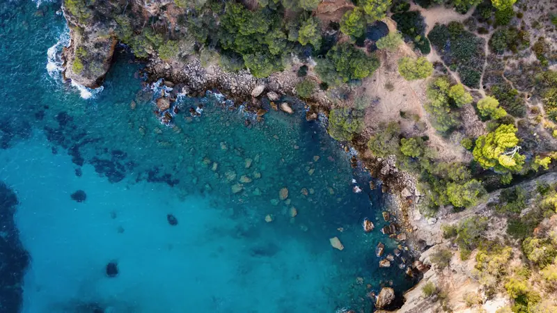 Vue aérienne d'une crique rocheuse bordée de pins au-dessus d'une eau turquoise