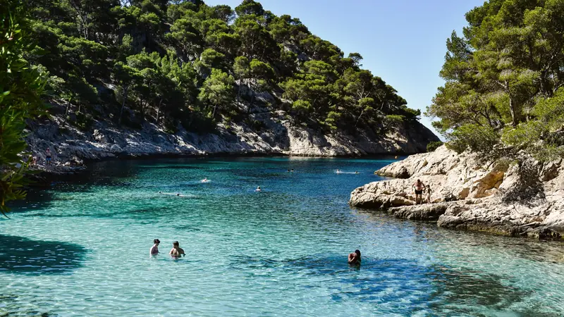 Calanque bordée de pins où des baigneurs nagent dans une eau turquoise