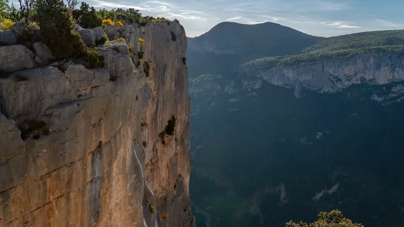 Falaise calcaire verticale dominant le canyon boisé du Verdon, la rivière visible tout au fond