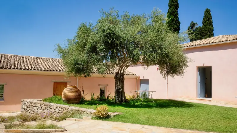 Cour d'une maison aux murs roses avec un olivier, une jarre en terre cuite et des cyprès