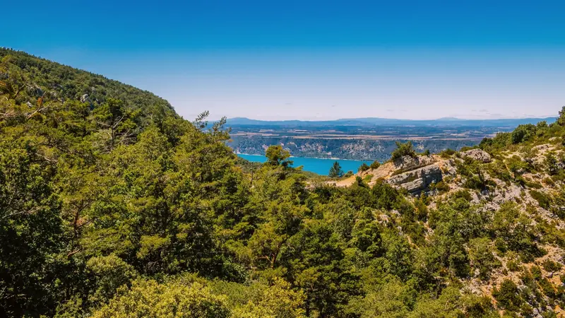 Collines boisées de pins et lac turquoise du Verdon en contrebas sous un ciel bleu sans nuage
